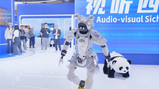 2019天天操夜夜操